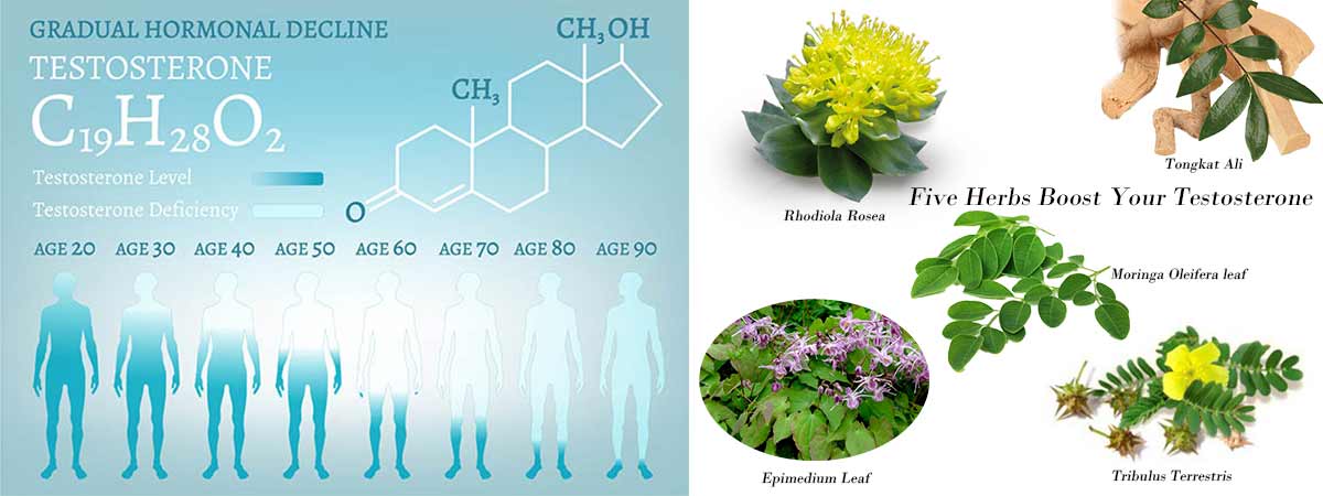 testosterone decline