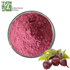 100% Natural Beetroot Extract Powder 