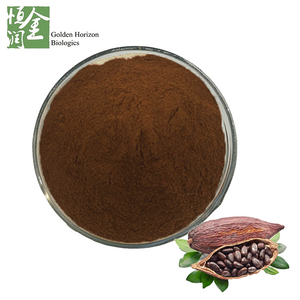 Pure Raw Cocoa Extract Powder