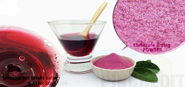 Blueberry Fruit Extract Blueberry Fruit Extract