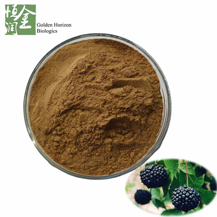 Best Acanthopanax Extract Eleutherosides Extract Siberian Ginseng Extract