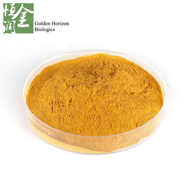 High Quality Natural Chinese Rhubarb Root Extract