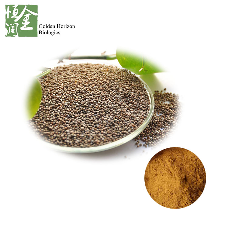 Kosher Certified Perilla Seed Extract 