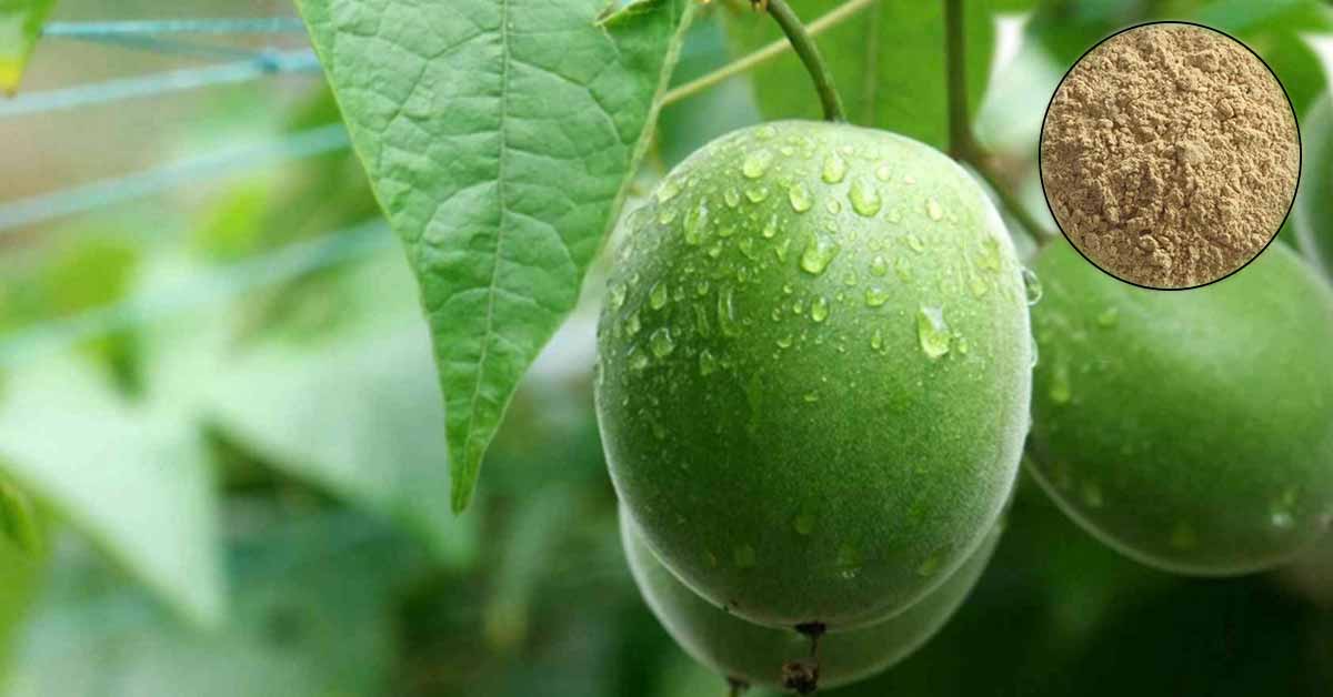 monk fruit extract