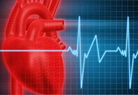 Nutraceuticals Supporting Cardiovascular Health Help Address a Growing Health Crisis