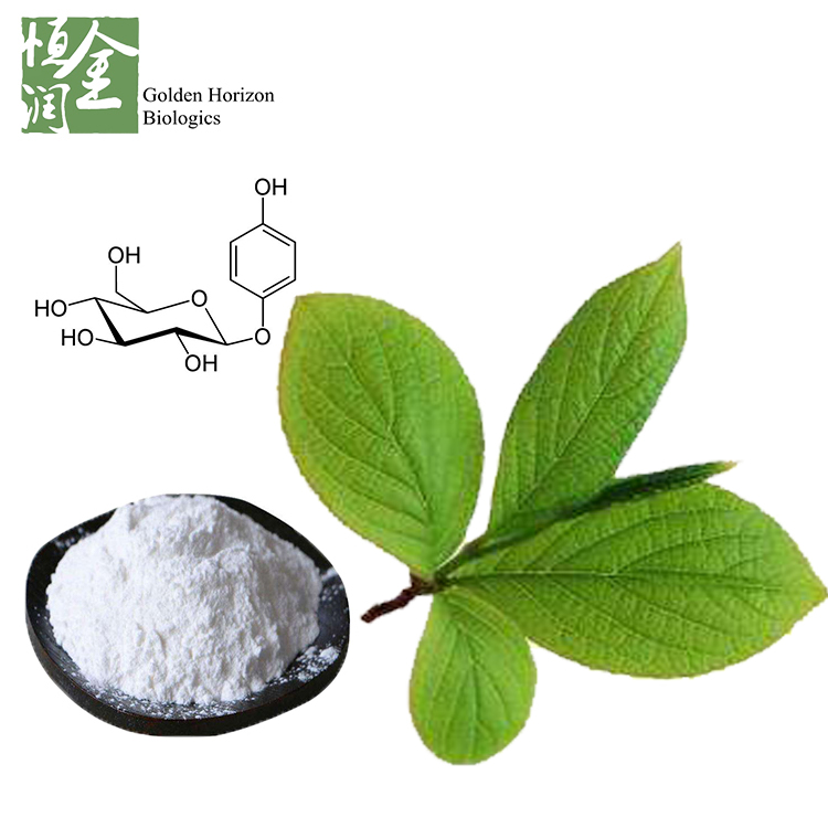 Pure Alpha Arbutin Powder 99% Above Natural Bearberry Extract