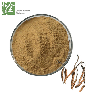 High Quality Health Beneficial Cordyceps Sinensis Extract
