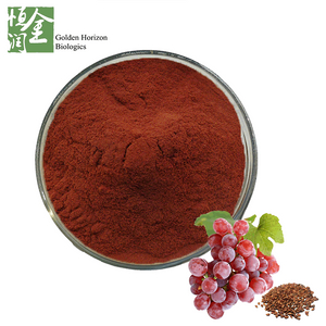 Antioxidant Grape Seed Extract Powder OPC Proanthocyanidin 95% Plant Extract