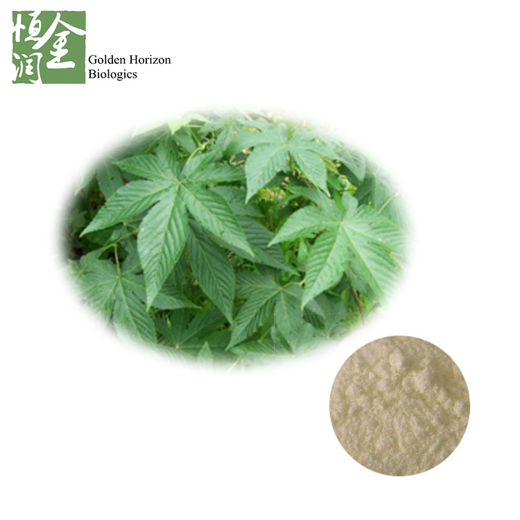 Sweet Tea Extract Rubus Suavissimus Extract Rubusosides