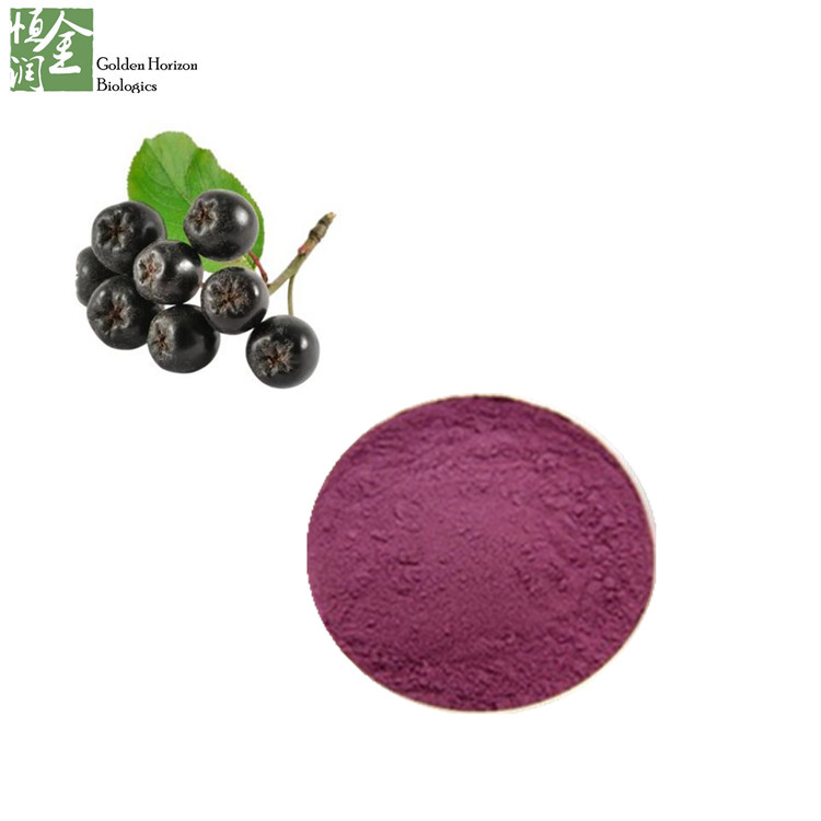 100% Natural Antioxidant Fruit Aronia Plant Extract Powder 25% Anthocyanin 