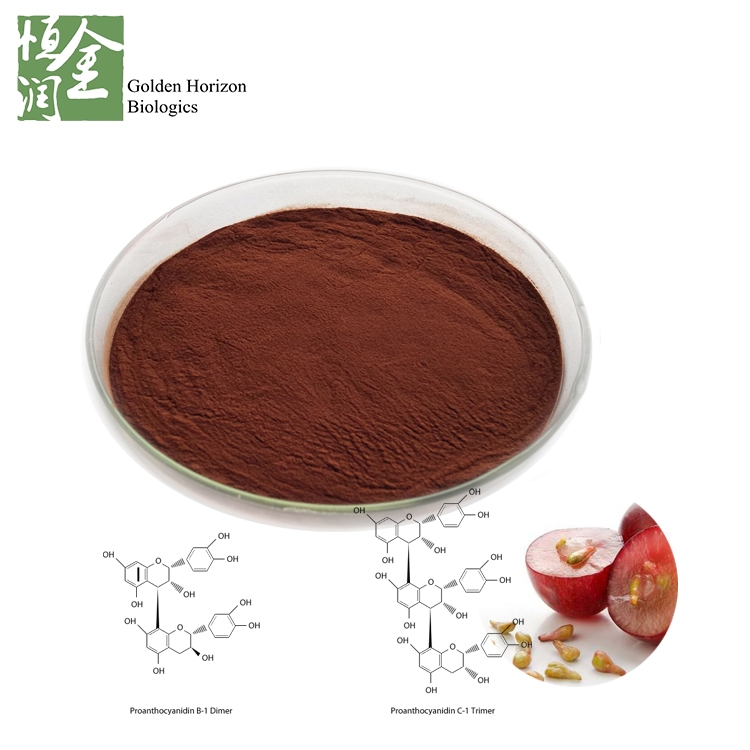 Antioxidant Grape Seed Extract Powder OPC Proanthocyanidin 95% Plant Extract