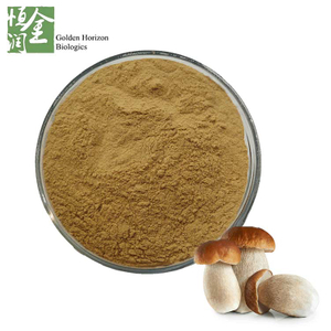 Natural Wild Porcini Mushroom Extract Powder/Boletus edulis Extract Polysaccharide 10%~50%
