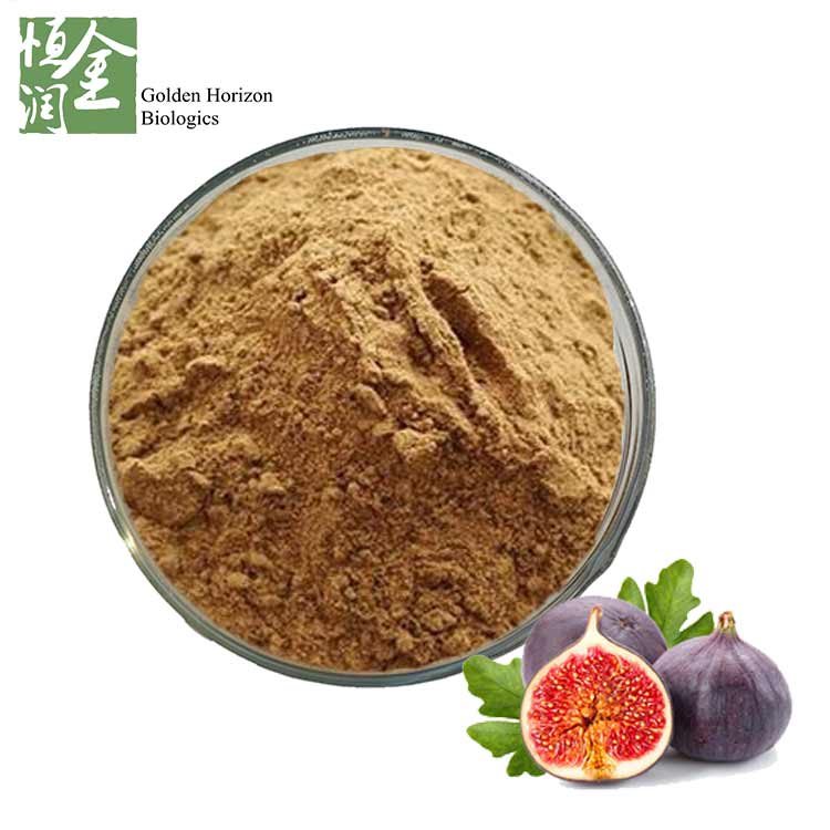 Whosale Manufactory Supply Fig Leaf Extract Powder