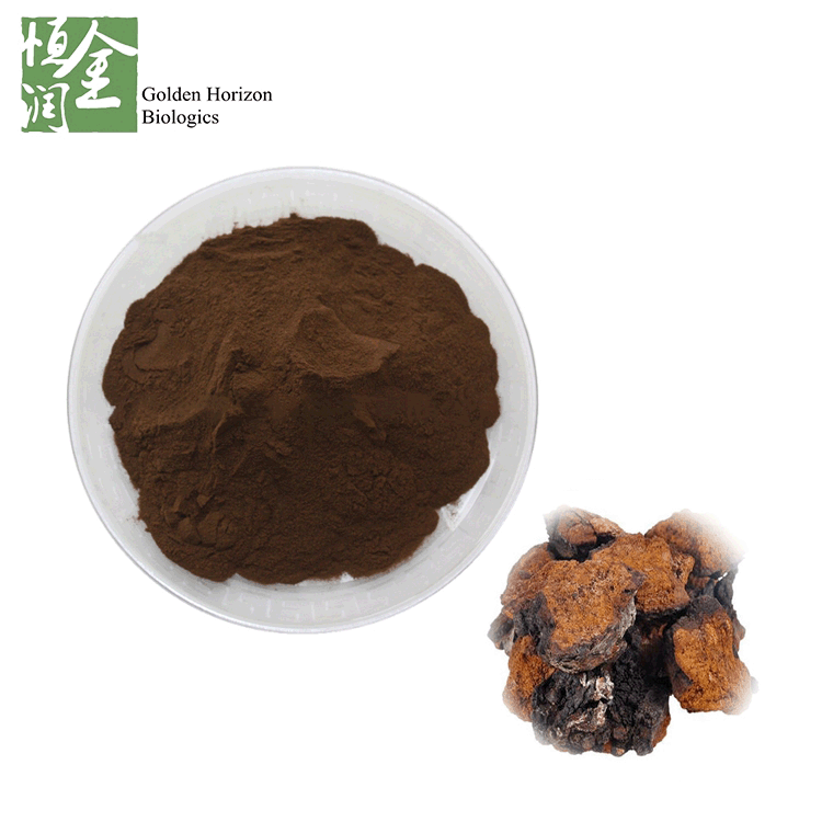 Health Food Raw Material 100% Natural Chaga Extract Chaga Mushroom Powder