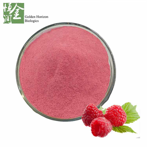 Spray Dried Freeze Dried Organic Raspberry Powder 