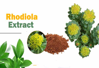 8 Health Benefits of Rhodiola Rosea