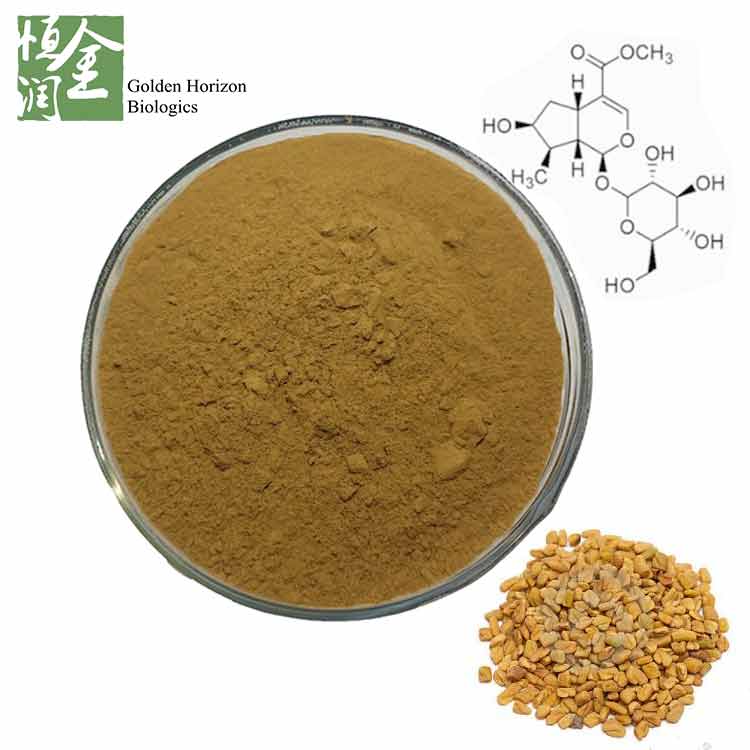 Best Fenugreek Extract Powder 10%-98% 4-hydroxyisoleucine 