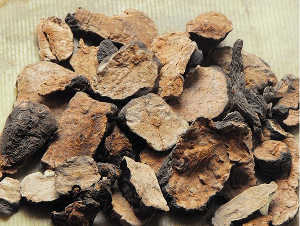 Polygonum Multiflorum Fallopia Multiflora Fo-Ti Root He Shou Wu Root Extract
