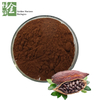 High Quality Cocoa Bean Extract Theobromine Powder CAS 83-67-0