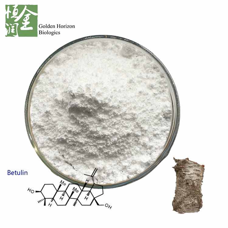 Factory Supply White Birch Bark Extract CAS 473-98-3 98% Betulin Powder