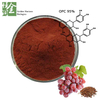 Pure Antioxidant Grape Seed Extract Powder for Kidney Disease