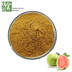 Whosale Best Guava Leaf Extract Powder 