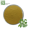 100% Natural Common Nettle Extract Powder Good Bodybuilding