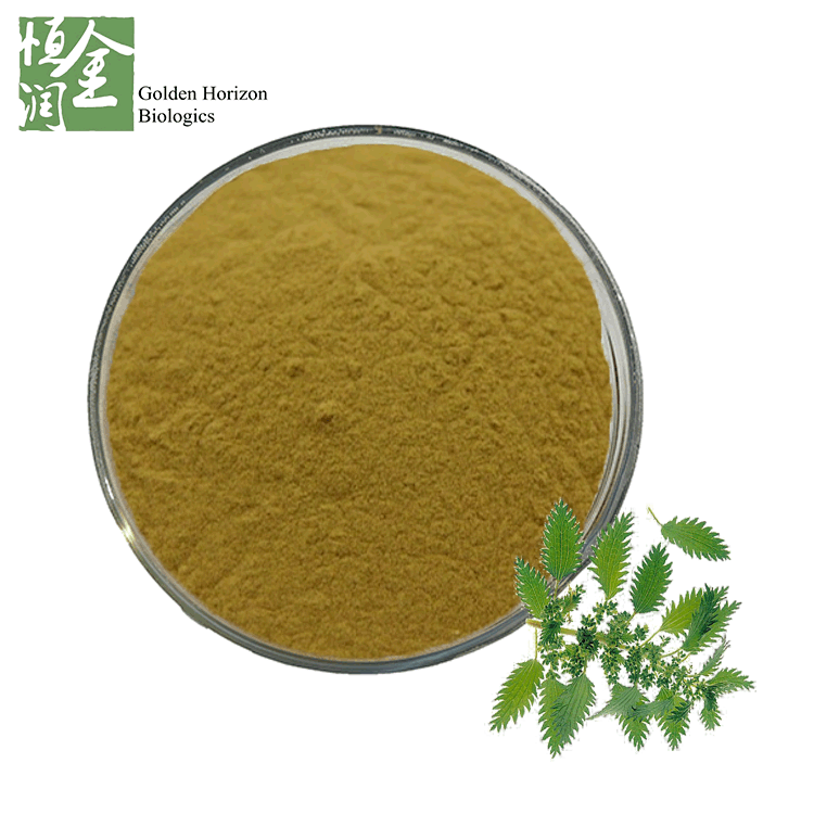  Natural Antimicrobial Nettle Extract Powder Good for Skin 
