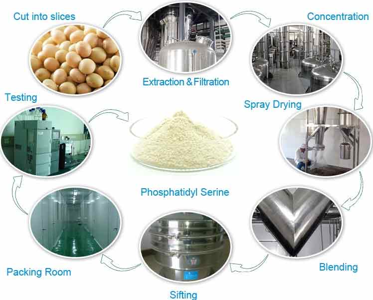 Best PS Powder Or Phosphatidylserine 20% 50% 60% 70%