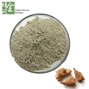 Hot Sale Plant Extract Galla Chinensis Extract 80%-95% Ellagic Acid