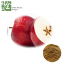 Anti-diatetic Apple Peel Extract / Apple juice Extract Powder Apple Polyphenols 10%-80%