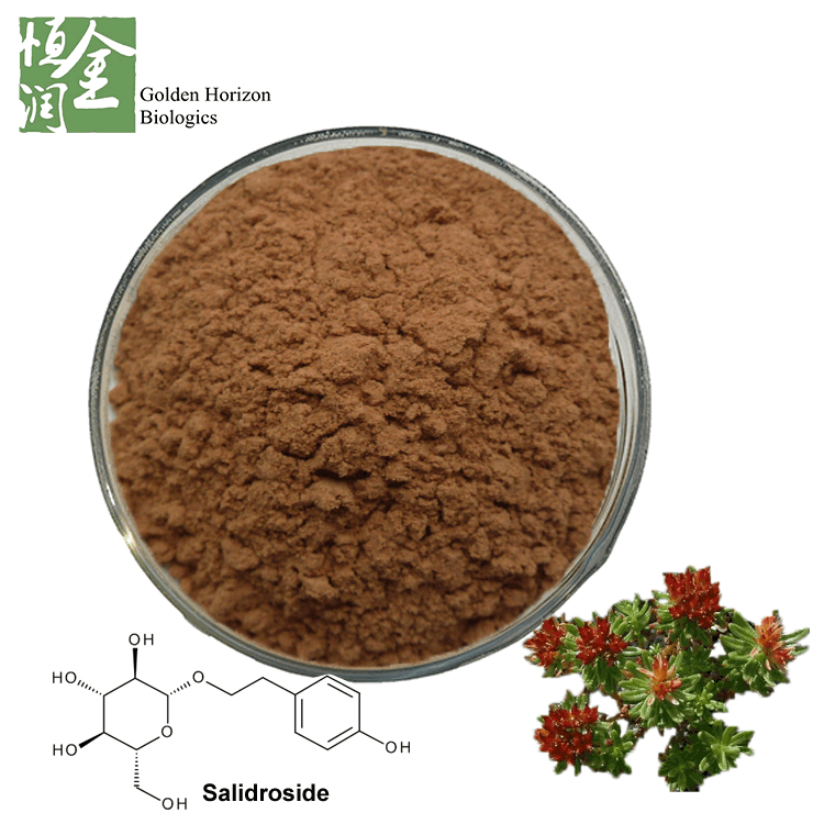Factory Supplier Antioxidant Rhodiola Rosea Extract Rosea Rosavins 5% In Bulk