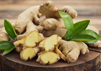 Ginger Extract Gingerol--A New Ingredient For Weight Loss