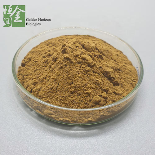 Bulk Powder Chia Seed Extract 5%-60% Carnosic Acid Powder 