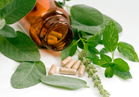 Under The Influence Of The Epidemic, Ten Trends In The Plant Extract Market In 2021（2）