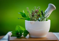 In The Post-Epidemic Era, Natural Herbs Become a New Consumer Trend In Oral Care