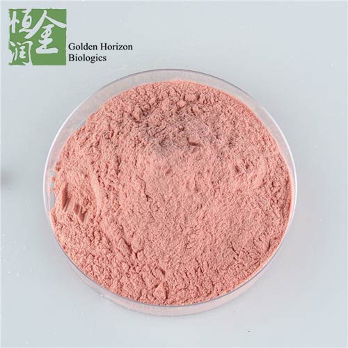 Natural Acerola Cherry Extract Powder Vitamin C 