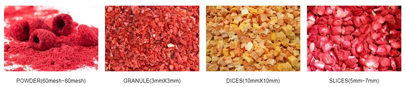 2Freeze Dried Fruit